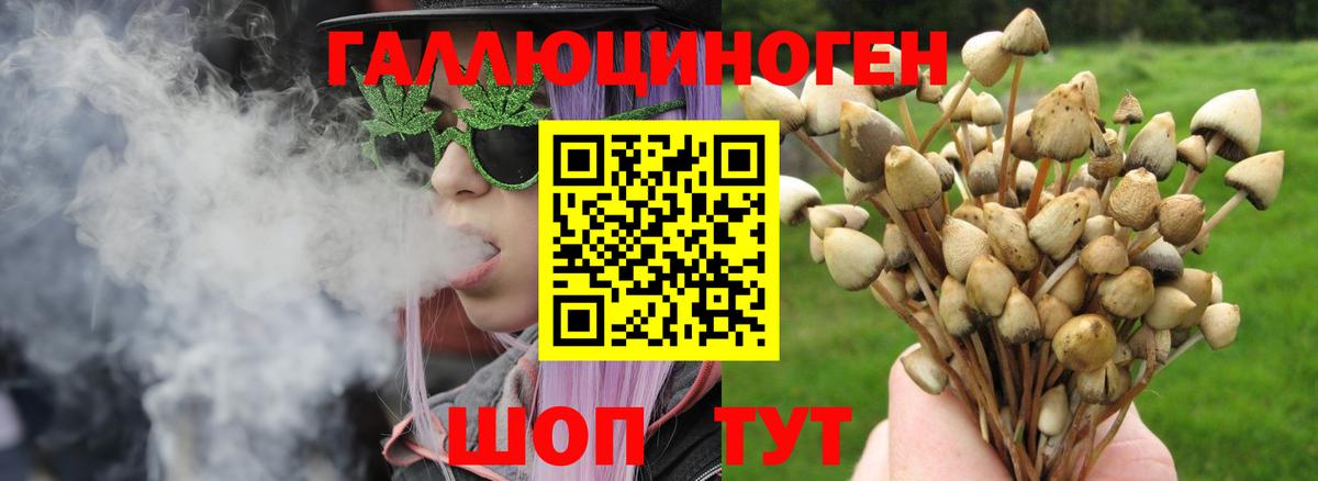 Псилоцибиновые грибы прущие грибы Волгодонск